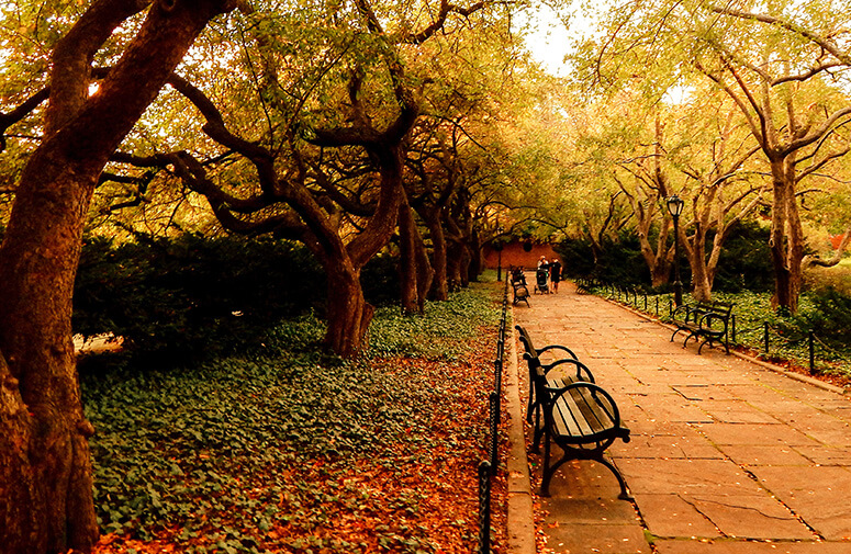 park-2